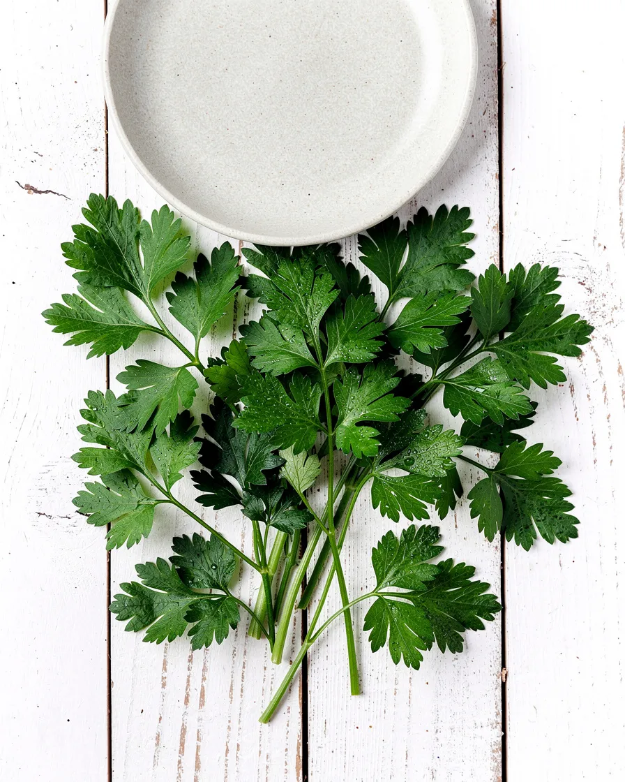 Loose flat-leaf parsley leaves, close up