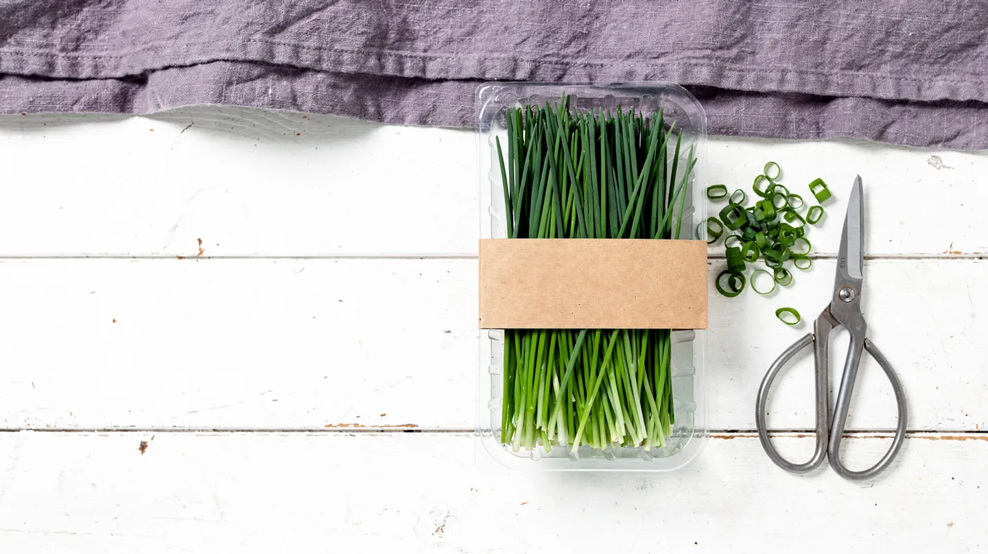 Chives 20g punnet, packed by Harvest Lane Herbs, on white timber